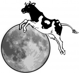 Krowa i księżyc