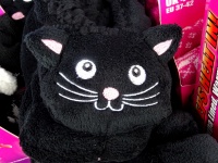 Cuddly Black Cat