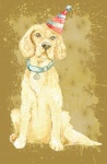 Pintura de aquarela para cães