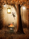 Fairy in Forest Night