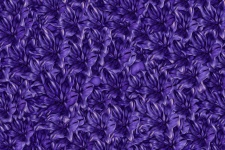 Květinový vzorek tapety