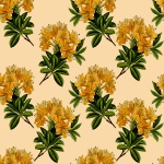 Papel de Parede de Flores Lily Vintage