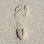 Stopa v písku