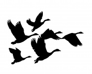 Geese Flying Silhouette