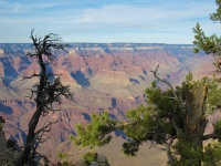Grand Canyon Scenic, rive sud