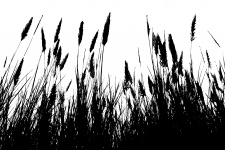 Silueta de hierba negra