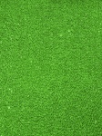 Green Glistening Coarse Background