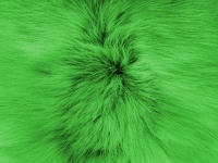 Green Soft Fur Background