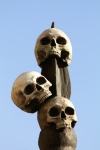 Emberi koponyák egy tüskével