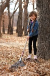 Petite fille ratisser les feuilles à l&#