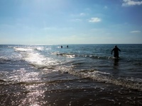 Homens nadando no mar