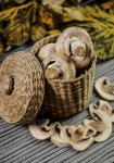 Mushrooms In The Basket