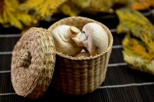 Mushrooms in the basket