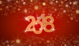 Anul noului an