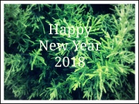 Año nuevo con fondo verde