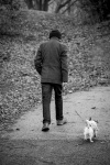 Old Man With Dog