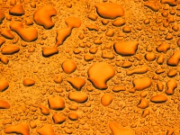 Orange Background Water Droplets