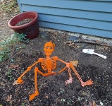 Orange Skeleton 1