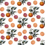 Oranges Background Wallpaper