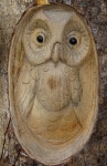Sovy carving na stromovém záznamu