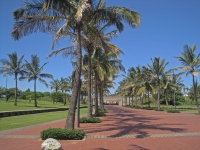 Geplaveide boulevard met palmbomen