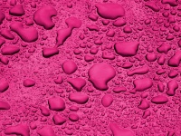 Pink Background Water Droplets