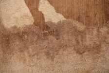 Plywood decay 2