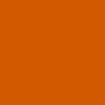 Zucca arancione sfondo