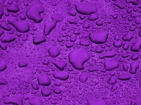 Gouttelettes d'eau fond violet