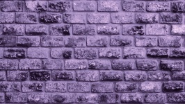Muro di mattoni viola