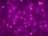 Фиолетовый мягкий неоновый фон