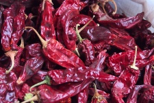 Röd torkad chili peppers