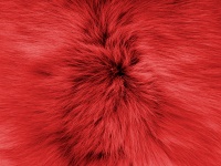 Red Soft Fur Background