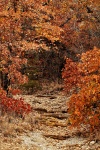 Rocky Path in Fall