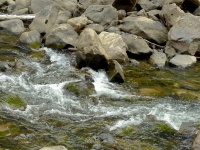 Corriendo Green River y rocas