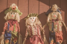 Scarecrow dolls