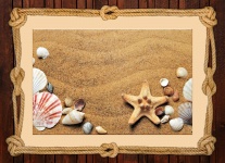 Imagem do quadro da corda dos conchas