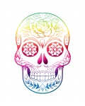 Skull Colorful