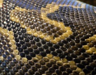 Pelle Snake