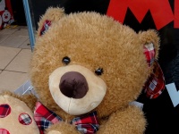 Soft Cuddly Teddy Bear