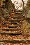 Stone Steps in Fall
