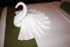 Swan Towel
