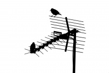 Antenne de télévision