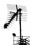 Televíziós antenna