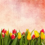 Tulipani con sfondo d'epoca