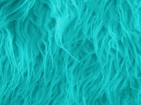 Turquoise Fur Background