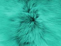 Turquoise Soft Fur Background