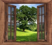 Fönster träd landskapsvisning