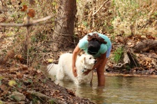 Kobieta i pies w Fall Creek