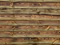 Sfondo di grano di legno